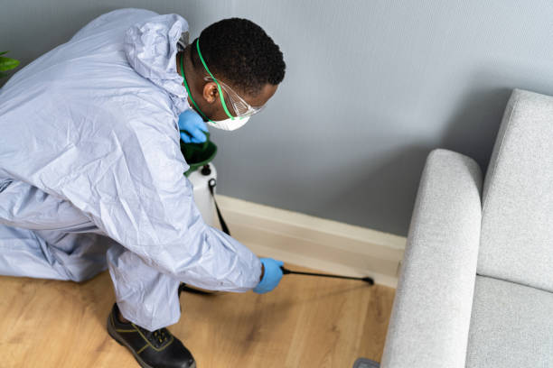 Best Pest Prevention Services  in Stone Mountain, GA